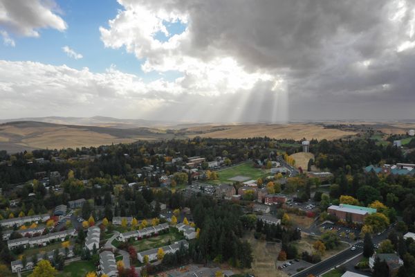 Portrait of Drone shot of Moscow, Idaho.