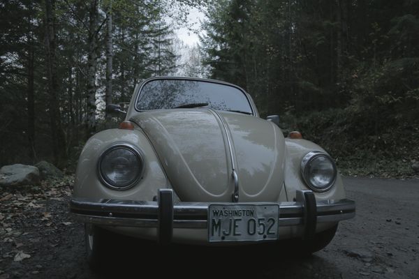 VW Bug parked in Taylor Mountain forest, close up.