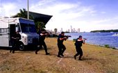 Image for Miami Swat