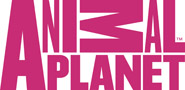 Animal Planet (pink png)