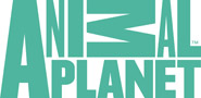 Animal Planet (turquoise png)